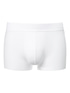 CALIDA Clean Line Boxer brief with elastic waistband